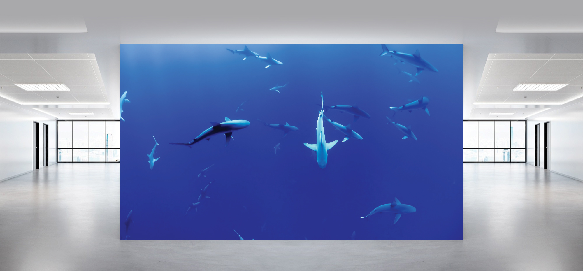 ProLight LED Video Wall - Imagination